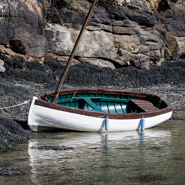 barque-95.jpg